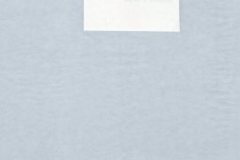 1_1992_Happy_OK_Wanderers_Rallies_0086_a