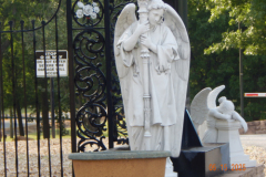 DSCN3176