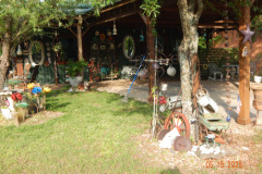 DSCN3178