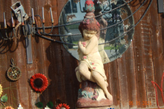 DSCN3179