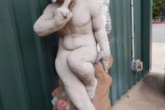 DSCN3196