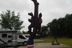 DSCN3197