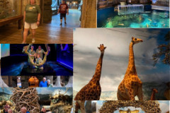 Bass-Pro